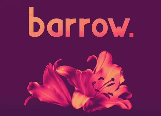 Barrow Display Font
