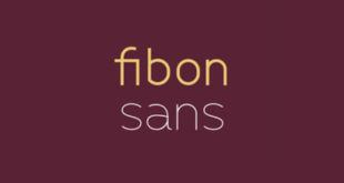 Fibon Sans Font 310x165 - Fibon Sans Font Free Download
