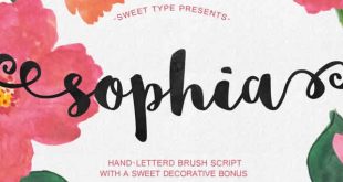 Brush Typography Font