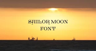 sailor moon font feature 310x165 - Sailor Moon Font Family Free Download