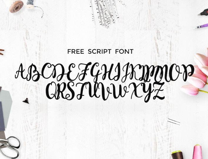 monogram font - Monogram Script Font Free Download