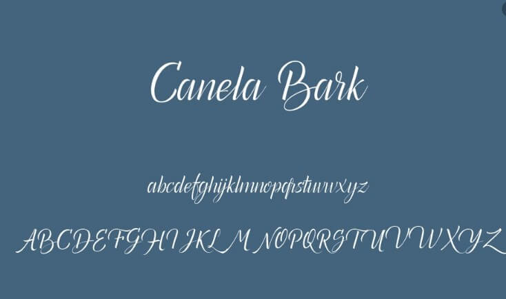 Canela Bark font