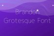 Brandon Grosteque Font