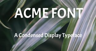 ACME FONT 310x165 - Acme Font Free Download