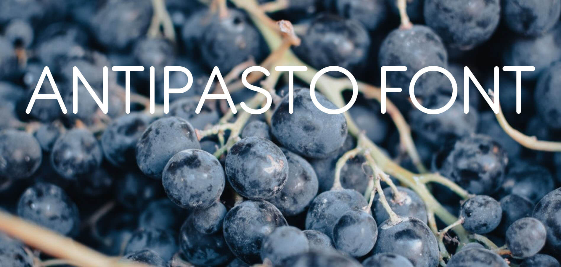 Antipasto Font Free Download