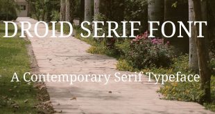 DROID SERIF FONT 310x165 - Droid Serif Font Free Download