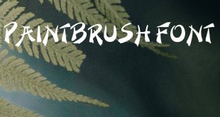 PAINTBRUSH FONT 310x165 - Paintbrush Font Family Free Download