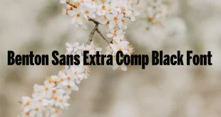 Benton Sans Extra Comp Black Font Family