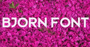 Bjorn Font