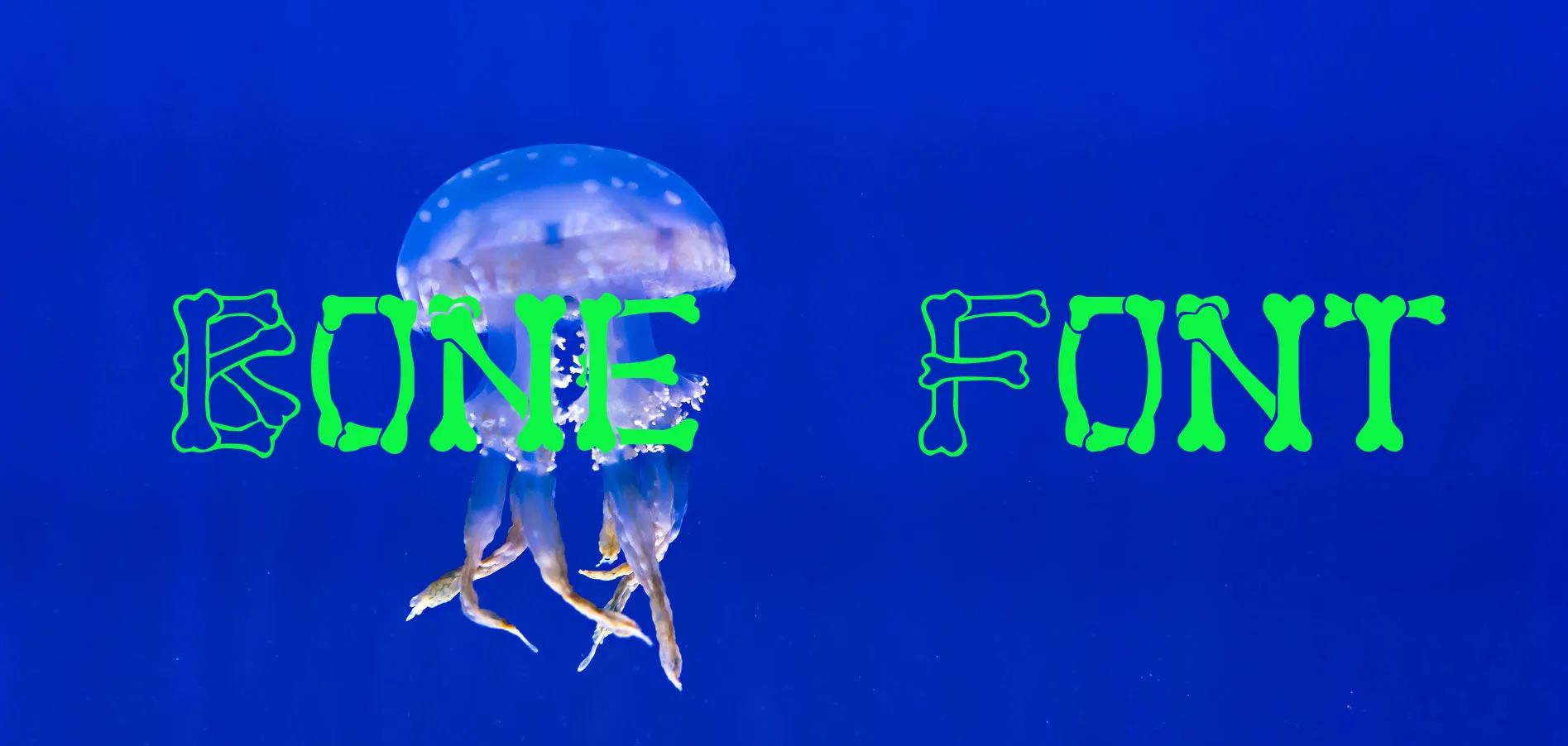 Bone Font Family