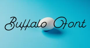Buffalo Font
