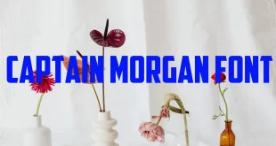 Captain Morgan Font Family