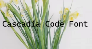 Cascadia Code Font 310x165 - Cascadia Code Font Free Download