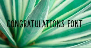 Congratulations Font