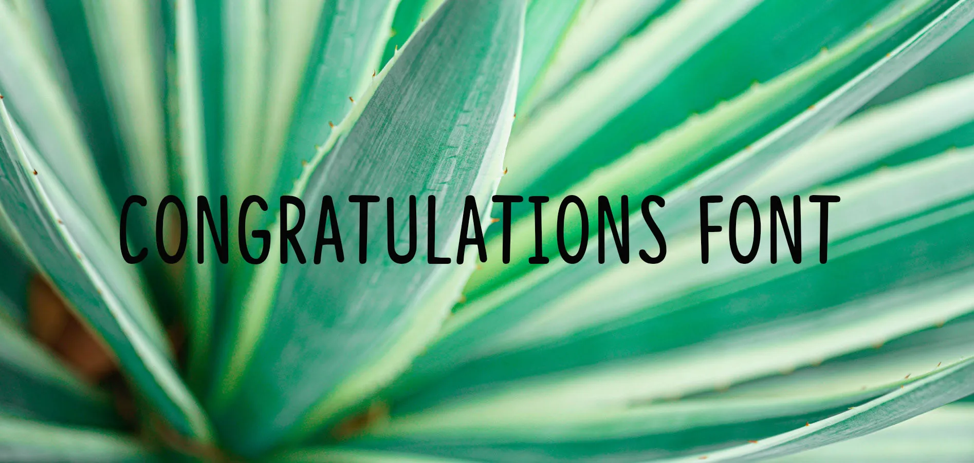 Congratulations Font