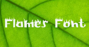 Flames Font Family