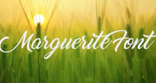Marguerite Font