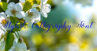 Stylish Calligraphy Font Family