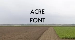 acre font feature 310x165 - Acre Font Free Download
