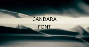 candara font feature 310x165 - Candara Font Free Download