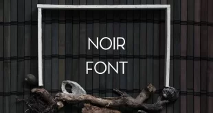 Noir Font