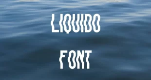liquido font feature1 310x165 - Liquido Font Free Download
