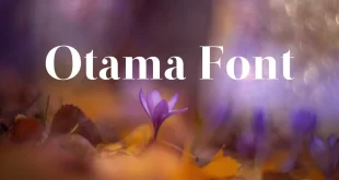 Otama Font Family