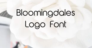 Bloomingdales Logo Font
