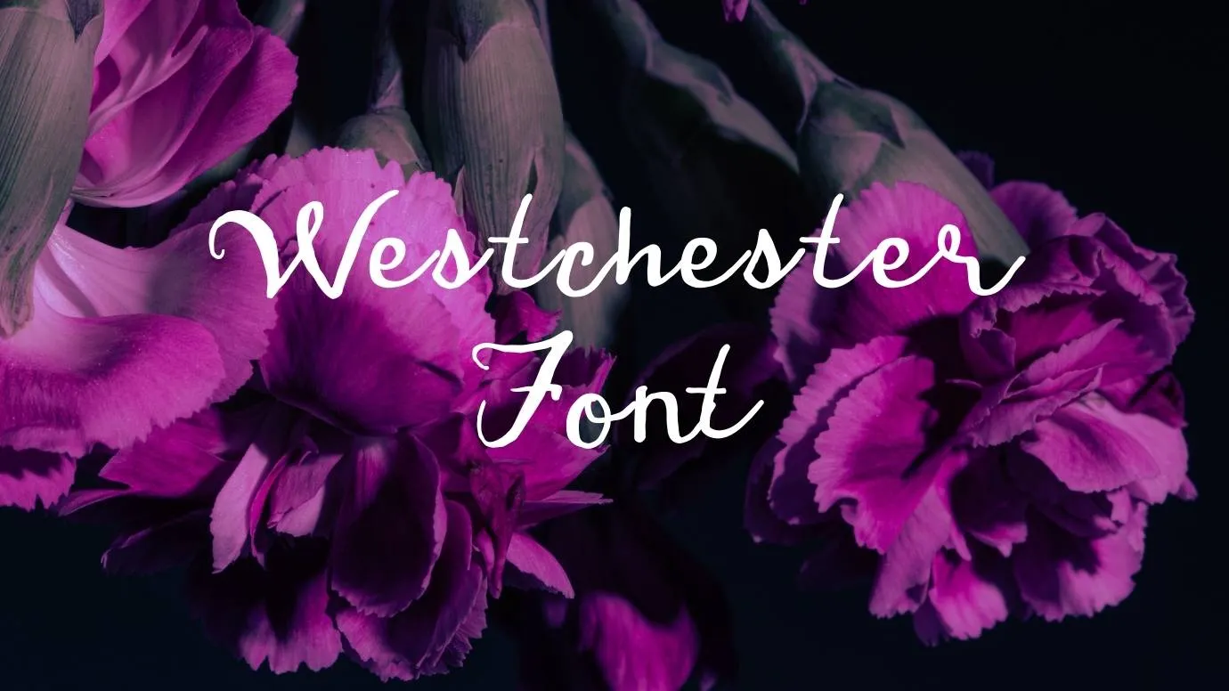 Westchester Font
