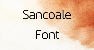 Sancoale Font Feature