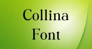 Collina Font
