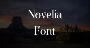 Novelia Font