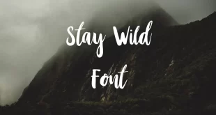 Stay Wild Font