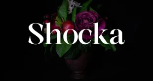Shocka Font