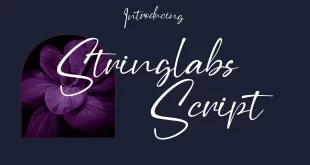Stringlabs Script Font