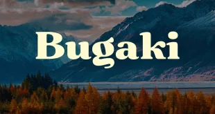Bugaki Font