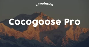 Cocogoose Pro Font