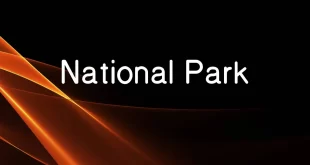 National Park Font