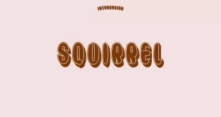 Squirrel Font