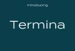 Termina Font