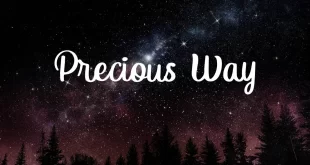 Himsomnia Font
