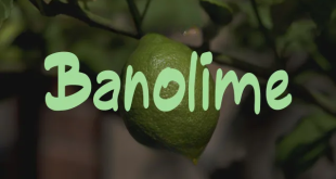 banolime font