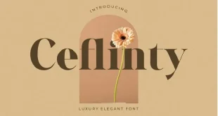 Ceflinty Serif Font