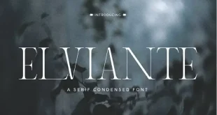 Elviante Font