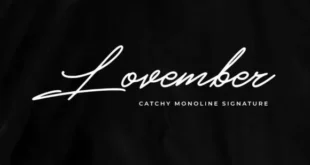 Lovember Script Font