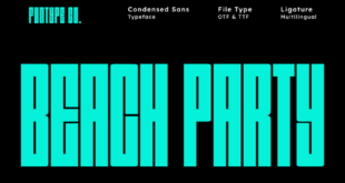 Beach Party Font