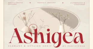 Ashigea Font