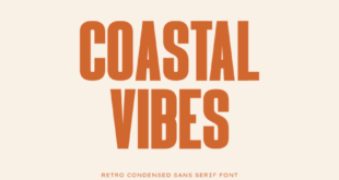 Coastal Vibes Font