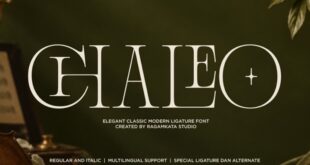 Chaleo Font