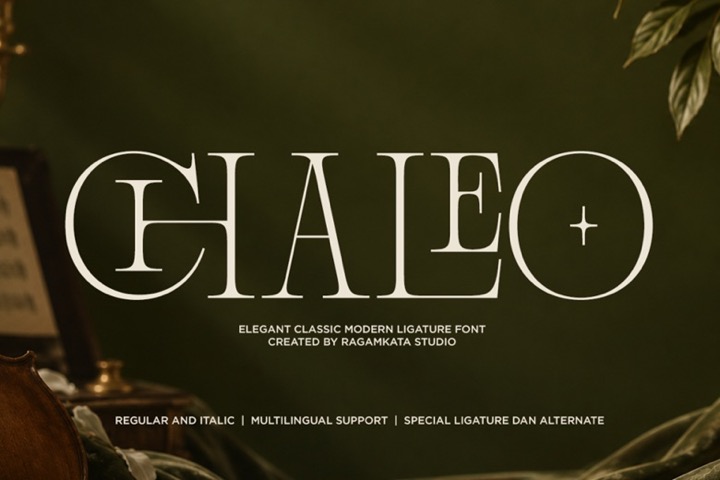 Chaleo Font preview